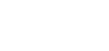 DMV Logo